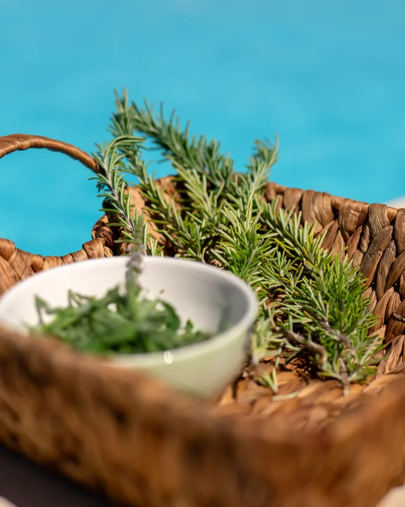 Mint Retreat Suites Halkidiki - Kalandra, Possidi - Greece 8 Mint Retreat Suites Halkidiki 104