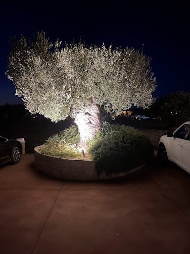 Mint Retreat Suites Halkidiki - Kalandra, Possidi - Greece 52 Photo from customer review